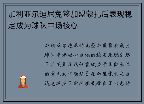 加利亚尔迪尼免签加盟蒙扎后表现稳定成为球队中场核心